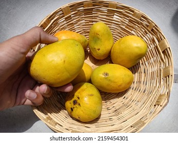 Ripe mango, Fresh yellow mango in hand checking quality of mango, customer watching mango, yellow Mangoes, Mangoes in basket and hand checking quality of mangos, mangos, mangoes fruits, summer, india,