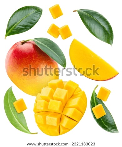Ripe mango fruit isolated on white background. Mango composition with clipping path. Mango macro studio photo