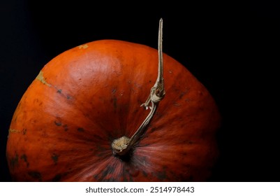 Ripe natural pumpkin close-up on a black background, red, Ukrainian vegetables, agriculture, harvest, bright, contrast - Powered by Shutterstock