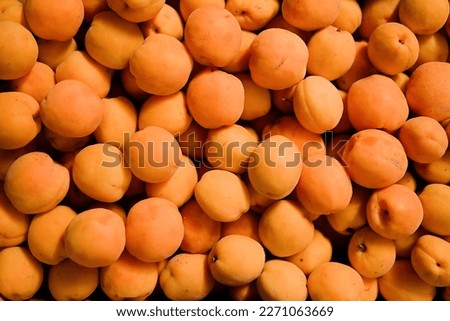 Ripe orange apricots close-up background or texture. Apricots harvest, many orange apricots	                              