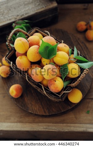 Similar – Image, Stock Photo Ripe apricots Fruit