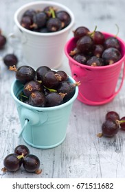 Ripe organic currant berries in little buckets