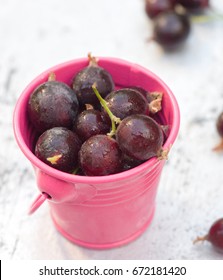 Ripe organic currant berries in little bucket