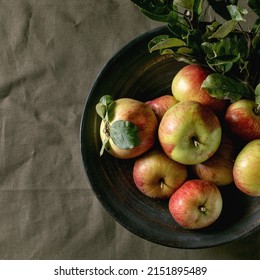 Ripe Organic Gardening Green Red Apples With Leaves In Ceramic Dish Standing On Dark Table Cloth. Black Background. Autumn Harvest. Top View, Copy Space. Square Image