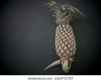 Ripe pineapple, not yet peeled on a black background - Shutterstock ID 2364715727