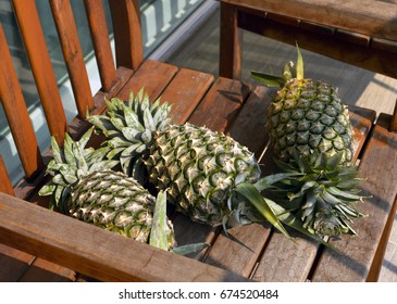 Ripe pineapples.