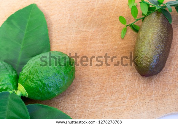 MICROCITRUS AUSTRALASICA CAVIAR LEMON