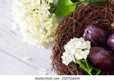 Ripe Plums In A Vine Basket On A Wooden Background, Hydrangea Flowers Lie Nearby