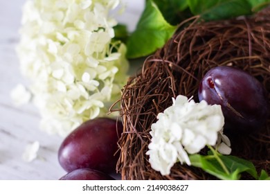 Ripe Plums In A Vine Basket On A Wooden Background, Hydrangea Flowers Lie Nearby