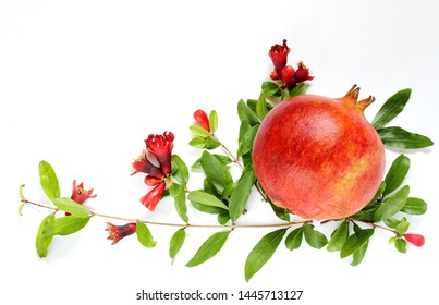 ripe pomegranate with pomegranate flowers and leaves on a light background