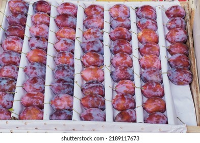 Ripe Prunes, Fresh Fruits Arranged In Rows In A Box On White Paper. Analogue Of The Japanese Abacus. The Concept Of Mental Arithmetic. Close Up. No People.