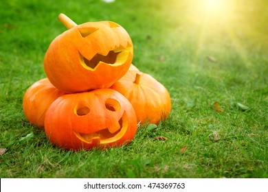 Ripe Pumpkins For Halloween On Green Grass Background