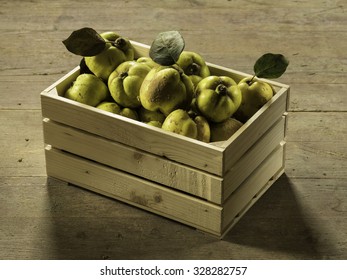 Ripe Quince With Green Leaves In A Wooden Crate