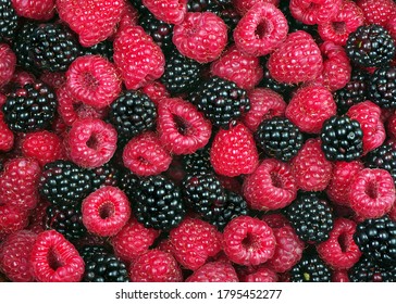 ripe raspberries and blackberries texture background. summer healthy berries. top view. natural vitamins