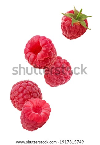 Ripe raspberries flying in the air isolated on white background. Clipping Path. Full depth of field.