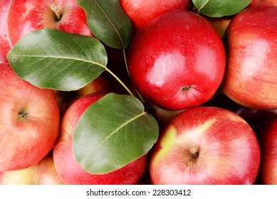 Ripe Red Apples Close Up