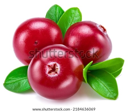 Ripe red cranberries with green cranberry leaves isolated on a white background. Close-up.