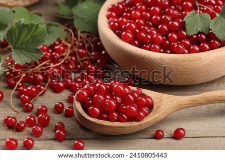 Similar – Image, Stock Photo Ripe red currant berries