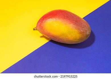 Ripe Red Green Mango On Split Duotone Yellow Blue Diagonal Background With Copy Space.Creative Image With Tropical Fruits.