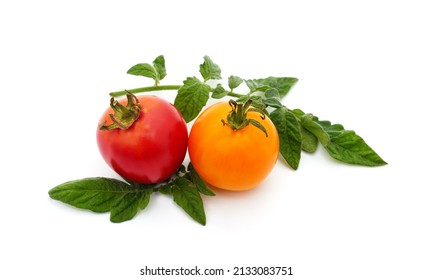 Ripe Red And Orange Tomatoes Isolated On A White Background.