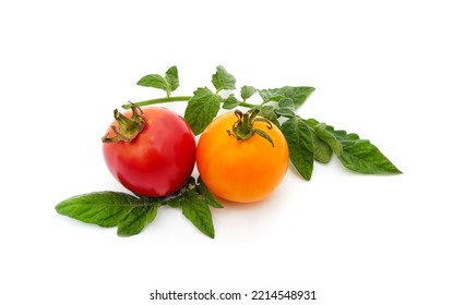 Ripe Red And Orange Tomatoes Isolated On A White Background.