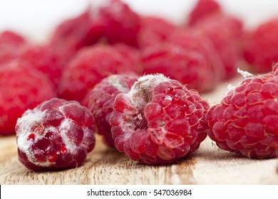  ripe red raspberries, which appeared mold. Photo heap closeup, small depth of field.