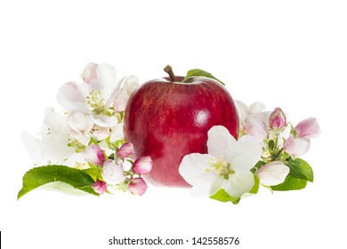 Ripe Red Royal Gala Apple with Blossom and Leaves on White Background