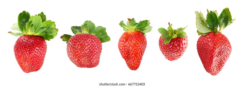 Ripe red strawberries isolated on white background - Shutterstock ID 667752403