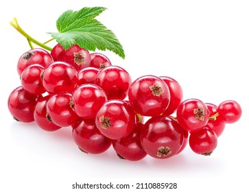 Ripe Redcurrant Berries On White Background. Close-up.