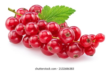 Ripe Redcurrant Berries On White Background. Close-up.