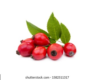 Ripe Rose Hip Isolated On White Background