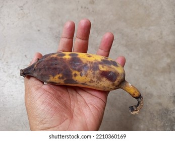 Ripe And Rotten Banana. Waste Food Concept