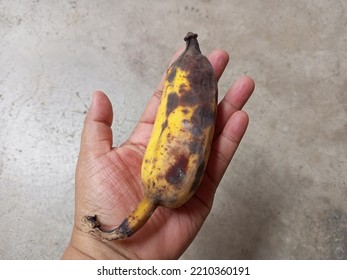 Ripe And Rotten Banana. Waste Food Concept