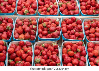 Ripe Strawberries In Boxes In A Village Fair In Gordes, Provence