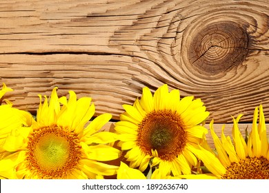 46,089 Sunflower On Wood Images, Stock Photos & Vectors | Shutterstock