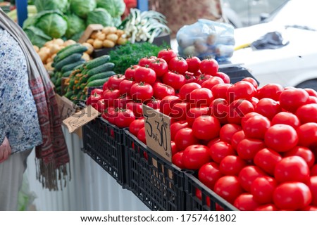 Ripe tomatoes on the counter of the Belarussian market. Fresh vegetables in the street bazaar. Small tomatoes.