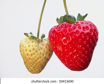 Ripe and unripe strawberry - Powered by Shutterstock