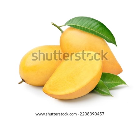 Ripe yellow Mango with half cut isolated on white background.