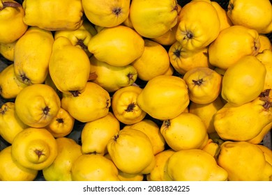 Lot of ripe yellow quince fruits ripened and harvested for sale in a shopping mall - Powered by Shutterstock