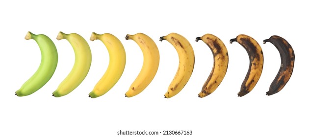 Ripening stages of banana isolated on white background. - Shutterstock ID 2130667163