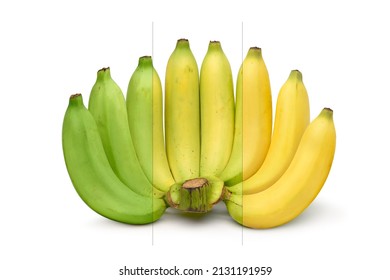 Ripening stages of banana isolated on white background. - Shutterstock ID 2131191959