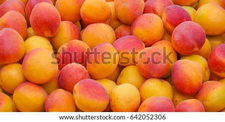 Ripe,sweet apricots,and the background image.