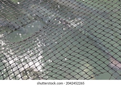 Ripped Fishing Net Above The Water. Full Frame