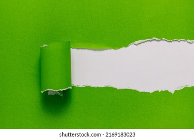 Ripped Green Paper With Empty Space On White