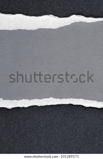 Ripped grey paper. Copy\
space