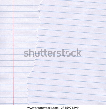 Ripped lined notebook paper piece with red margin line. Blank torn notebook paper page close-up for education design template.