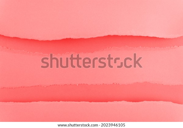 Ripped paper edge with copy space, red\
and pink color background. Flat lay. Copy\
space.