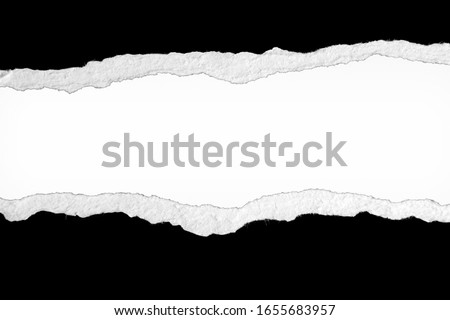 Ripped paper on plain background, space for copy
