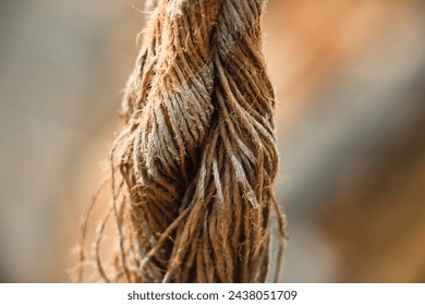 Ripped rope, Coconut rope, Macro shot of a rope, Abstract, Close up - Powered by Shutterstock