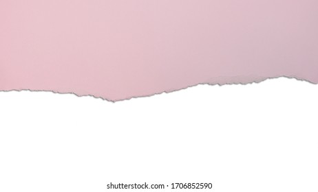 Ripped Or Torn Pink Paper To Reveal White Copy Space Below.